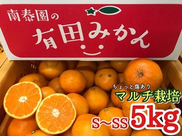 ちょっと 傷あり マルチ栽培 有田 みかん S または SS サイズ 5kg 南泰園 BS675