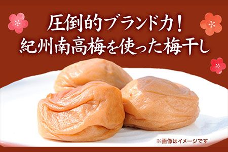 紀州南高梅使用 はちみつうす塩味完熟梅干し 800g 厳選館 《90日以内に出荷予定(土日祝除く)》 和歌山県 日高川町 紀州南高梅 はちみつうす塩 梅干し---wshg_tmt182_90d_24_14000_1p---