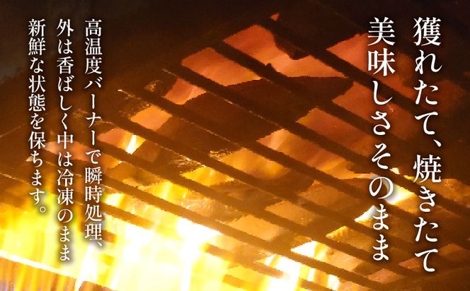 訳あり かつおのたたき 1kg 7,000円 鰹 サイズ 不揃い 小分け 真空 パック 新鮮 鮮魚 天然 水揚げ ［ PT0146-000005］