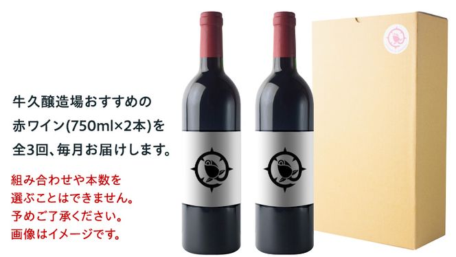 【 3ヶ月連続 】 赤ワイン おまかせ 定期便 2本セット 飲み比べ 茨城県産 牛久醸造場 厳選 750ml × 2本 お酒 ワイン ワイン好き 初心者 上級者 贈り物 ギフト 詰め合わせ [BJ039us]