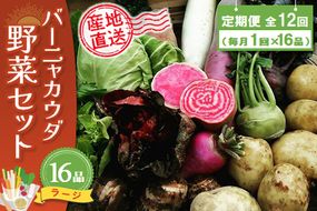 年間定期便12回 バーニャカウダ野菜セットラージ 16品 【有機野菜 おまかせ野菜セット イタリア野菜 西洋野菜 定期便】(H078122)