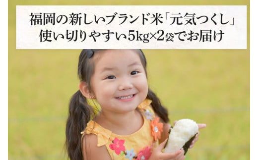 令和7年産　福岡県産ブランド米「元気つくし」白米10kg【11月上旬頃より順次出荷予定】