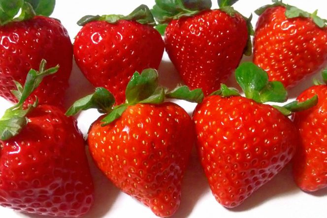 【期間限定発送】CG069 長崎県知事賞受賞【 大玉 いちご 】「 恋みのり (3L～5L)」265g×4パック ＜1～5月にお届け＞