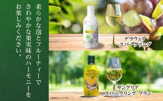 缶ワイン 白 5種セット 12本入 モンデ酒造 177-4-040