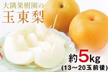 大隅果樹園の玉東梨(旬の品種をお届けします) 約5kg(13-20玉前後) 予約受付中 フルーツ 秋 旬 熊本県玉名郡玉東町 《8月中旬-9月上旬頃出荷》---sg_coosuminasi_g8_25_13000_5kg---