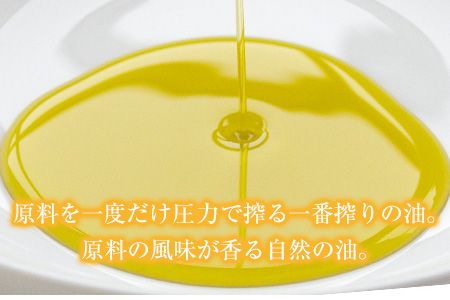 「堀内製油」の地あぶら（なたね油）825g×3本【定期便】計2回 熊本県氷川町産《お申込み月翌月以降の出荷月から出荷開始》---sh_hra3tei_r7_37500_ev6mo2---