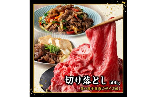 宮崎牛 堪能セット 【スタンダード】 合計1.5kg 【 肉 牛肉 国産 宮崎県産 黒毛和牛 和牛 モモスライス カルビ 】[D11413]