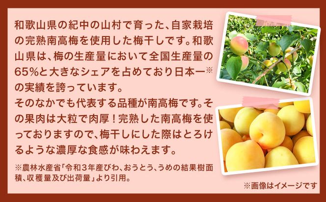 梅干し 紀州南高梅 使用 はちみつ うす塩味 完熟梅干し 無選別 1kg 《30日以内に出荷予定(土日祝除く)》日高町厳選館 和歌山県 日高町 梅干 梅 紀州 南高梅 はちみつ 蜂蜜 おかず 送料無料---wsh_genmhum_90d_22_13000_1kg---