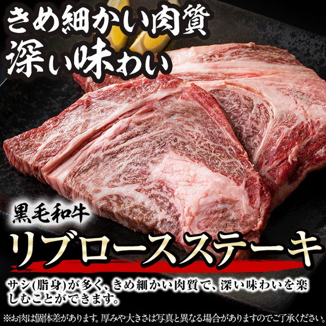 黒毛和牛ステーキ肉高級部位2種＜リブロース・サーロイン＞食べ比べ(計900g) b7-019