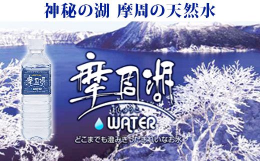 1151.摩周湖の天然水(非加熱製法) 500ml×24本 硬度 18.1mg/L ミネラルウォーター 飲料水 軟水 非加熱 弱アルカリ性 湧水 湧き水 ナチュラル ペットボトル 阿寒摩周国立公園 国産 屈斜路湖 北海道 弟子屈町