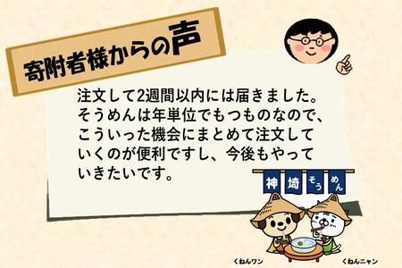 神埼そうめん「友白髪」 30袋入り 【麺 明治時代 お歳暮 お中元 ひやむぎ 冷麦 おみやげ お土産 夏】(H045103)