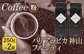 099H1851 バリアラビカ神山フルシティ　250g×2袋／粉 【珈琲 こーひー コーヒー 自家焙煎 オリジナル ギフト キャンプ アウトドア 家計応援】