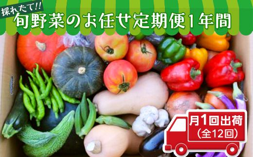 【数量限定】旬野菜のお任せ定期便１年間（月１回出荷） [AH03-NT]