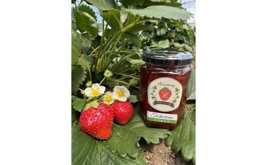 【数量限定】無添加 4種のいちごジャム（ミルキーベリー スカイベリー とちあいか とちおとめ）｜ 栃木県 さくら市 イチゴ 苺