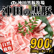 A3-01 鹿児島県産！幻の黒・沖田の黒豚(計900g・ロース、肩ロース、バラ、モモ、ウデいずれか3パック) 自然放牧・自家製飼料で大切に育てられた黒豚肉【沖田黒豚牧場】