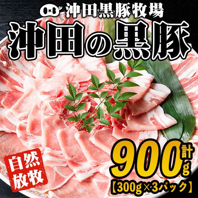 A3-01 鹿児島県産！幻の黒・沖田の黒豚(計900g・ロース、肩ロース、バラ、モモ、ウデいずれか3パック) 自然放牧・自家製飼料で大切に育てられた黒豚肉【沖田黒豚牧場】