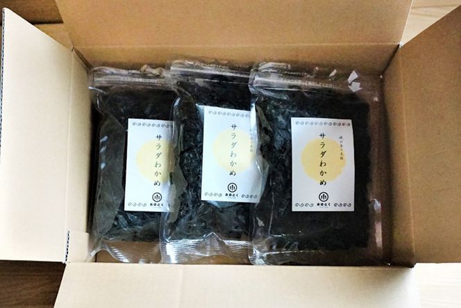 【2つの食感】 三陸産 サラダわかめ 170g ×3袋 [小野徳 宮城県 気仙沼市 20565558] 海藻 ワカメ わかめ 若布 塩蔵わかめ 塩蔵 コリコリ シャキシャキ 冷蔵