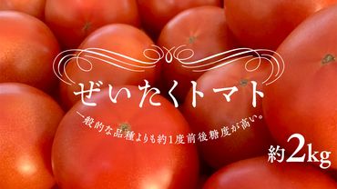 ぜいたくトマト！約2kg ( 9個～12個 ) トマト 大玉トマト 新鮮 美味しい 野菜 [J010-NT]