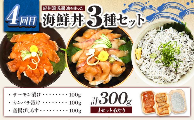 【定期便 全4回】サバフィレ 銀鮭切身 魚切り身詰合せ 海鮮漬け 選べる 内容量 株式会社魚鶴商店《お申し込み月の翌月より出荷開始》 和歌山県 日高町 鮭 さけ 紅さけ 切り身 さば 塩さば 焼き魚 焼くだけ 簡単 魚 さかな タラ サーモン カンパチしらす---wsh_uotteih_25_39000_mo4num1---