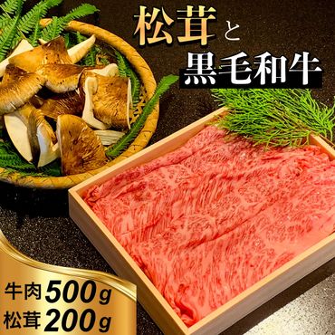 京都府産 黒毛和牛 と 松茸 すき焼き セット《牛肉 500g 松茸 200g》特製割下付き ※9月中旬頃より順次発送 ※発送不可地域あり