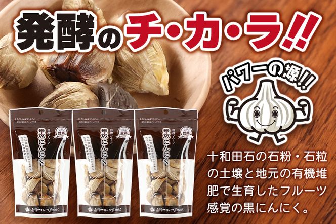 白神フルーツ黒にんにくセットＣ（バラ粒 100g×3袋）秋田県産 熟成 小分け 詰合せ 詰め合わせ 健康 美容 黒ニンニク|skfs-00003