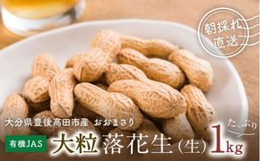 0B2-06 【先行予約】有機栽培で育てた大粒落花生（おおまさり）1kg