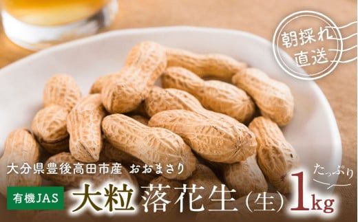 0B2-06 【先行予約】有機栽培で育てた大粒落花生（おおまさり）1kg