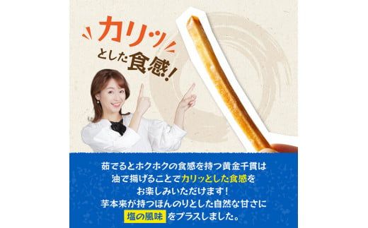 塩かりんとう75g×12袋【 芋 さつまいも 宮崎県産 かりんとう お菓子 】E11144