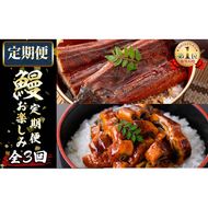 【定期便全3回】うなぎお楽しみ便！ t0047-002