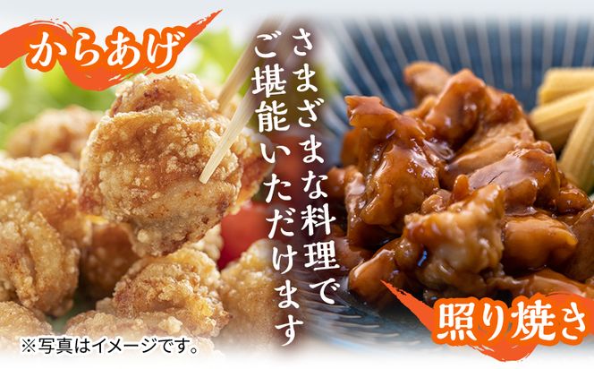 宮崎県産若鶏 モモ切り身 小分けパック 合計2.5kg（250g×10パック）_M144-004