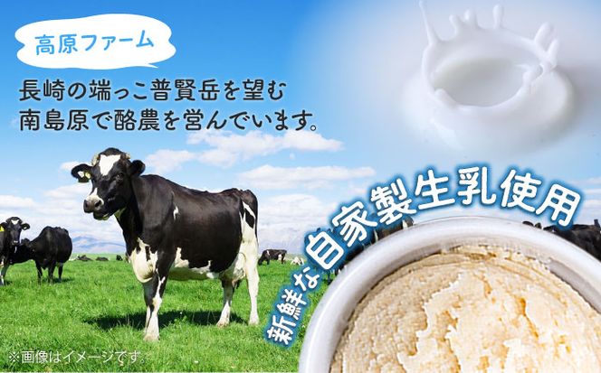 【2025年12月～発送】【濃厚ミルク】ジェラート ミルク2個 黒ゴマ2個 いちご2個 計6個入り / アイスクリーム スイーツ / 南島原市 / 高原ファーム[SFP003]