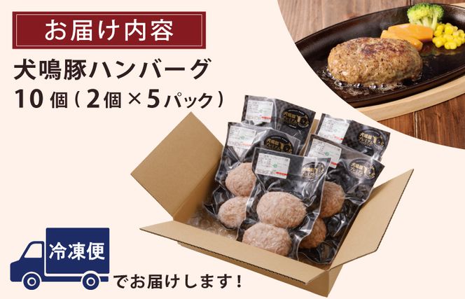 099H3809 【泉佐野ブランド豚】犬鳴豚の手作りプレミアムハンバーグ（10個入り）【国産 豚肉 泉佐野ブランド豚 犬鳴ポーク】