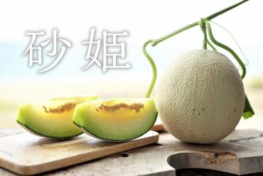 【先行予約／数量限定200】砂姫メロン2玉！大玉2L以上！女性に人気！（2024年6月下旬～発送）　国産 メロン めろん 2024フルーツ ふるーつ 果物 くだもの 農家応援 生産者応援 JK00006