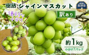 訳あり シャインマスカット 約1kg ｜ 樹熟 粒 7パック 富山県産 マスカット ぶどう ブドウ 葡萄 ※北海道・沖縄・離島への配送不可 ※2025年10月上旬～12月下旬頃に順次発送予定