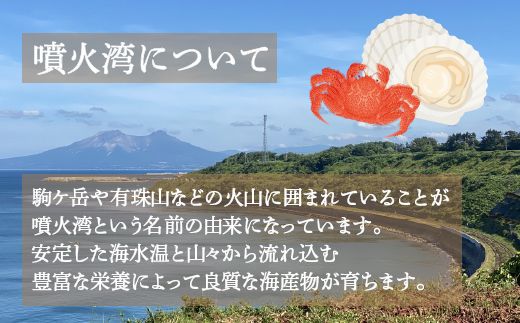 地元漁師 厳選 噴火湾産 旬のお刺身セット 北海道 豊浦 TYUR011