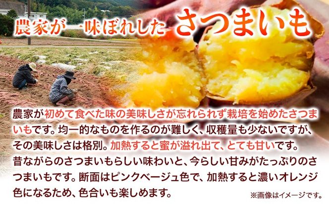 和歌山県の さつまいも 訳ありご家庭用 5kg 在来種《12月中旬‐4月下旬頃出荷》和歌山県 日高川町 みはらファーム さつま芋 薩摩芋---wshg_mhr10_k124_23_9000_5kg---