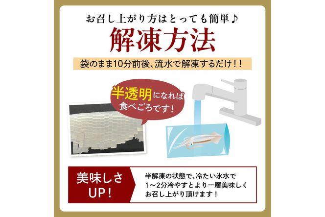 甘み絶大♪簡単♪すぐに食べられる／京丹後産『海の京都』の逸品！！　活白イカ姿造り（クリスタル白いか）超特大サイズ 1杯（500g前後）（2024年6月上旬～発送）　YK00163