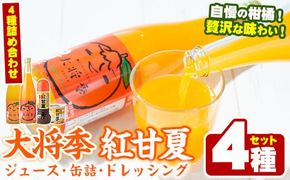 濃厚な果汁！大将季・紅甘夏ジュース 缶詰＆ドレッシングセット(4種)鹿児島県 阿久根 柑橘 蜜柑 みかん ミカン 飲料 飲み物 調味料 おやつ デザート フルーツ 果物 詰合せ ギフトセット【鹿児島いずみ農業協同組合】a-15-44-z