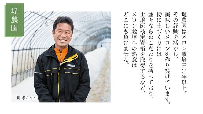 【 先行予約 5月下旬以降発送 】 令和8年産 ビレンス メロン 約2kg 1箱 2玉入り めろん 期間限定 産地直送 果物 フルーツ 青肉 甘い 新鮮 希少 ギフト [AV007ya]