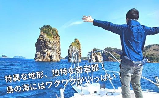 【絶景の海と自然を巡る】隠岐島前クルージング 5,000円相当