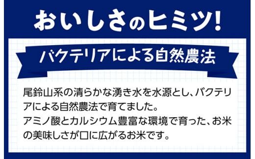 【令和６年産】 宮崎県産こしひかり「シタギリ米」5kg 【米 お米 白米 精米 国産 宮崎県産 こしひかり おにぎり】 [D04201]