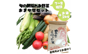 旬のお野菜おまかせセット＆山出米2kg【新米先行受付】 - 令和6年11月以降順次発送 新米 令和6年産 新鮮 野菜 旬 朝採れ 季節 精米 お米 米 しっとり もちもち 甘み おにぎり ごはん 複数原料米 セット 詰め合わせ おまかせ 国産 九州産 熊本県 熊本県産 甲佐町【価格改定】