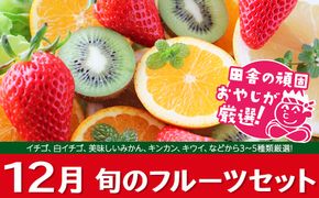 旬のフルーツセット 12月号 【令和6年12月より発送開始】田舎の頑固おやじが厳選！ [BI25-NT]