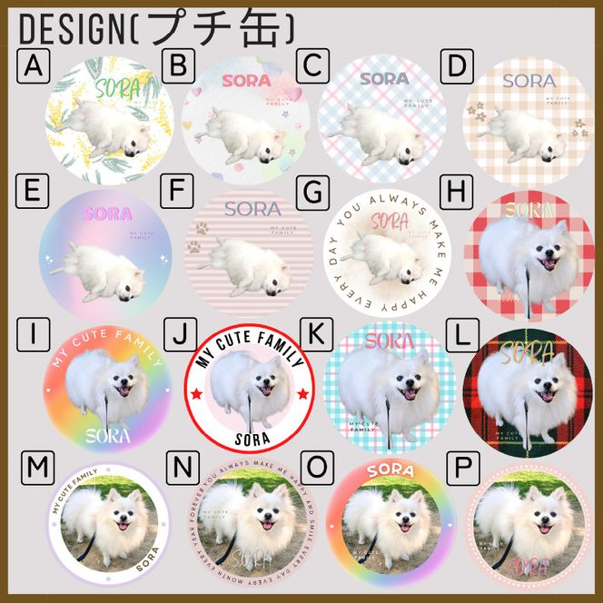 うちの子大好きセット オリジナルプチ缶3個+シール3シート 《 ペットグッズ 犬 容器 小物入れ 缶 シール オリジナル ステッカー セット 》【2401N13302】