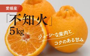 不知火（生果5kg）｜柑橘 みかん ミカン 蜜柑 果物 フルーツ 愛媛県 伊方町産 でこぽん デコポンと同品種　※離島への配送不可　※2025年2月上旬～2月下旬頃に順次発送予定