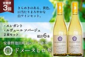 白ワイン セット エレガント & ルヴュールソバージュ 各750ml 計2本 3回 定期便 総計6本 [ヴィニョブル安曇野 長野県 池田町 48110360] ワイン 白 白ワインセット ワインセット 飲み比べ