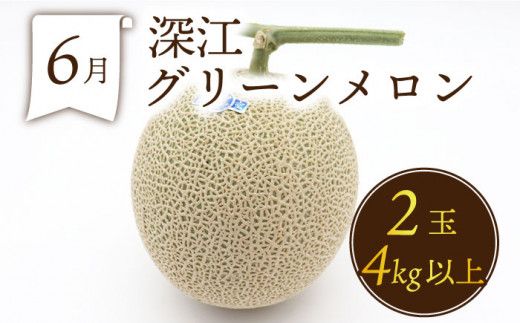 【年6回 偶数月コース】＜2026年2月～初回発送＞果物屋が選ぶ旬のフルーツ定期便 ハウスびわ メロン ぶどう (巨峰) みかん など / 南島原市 / 贅沢宝庫 [SDZ022]