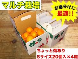 手さげ箱 ちょっと傷 マルチ栽培 有田 みかん S サイズ 20個入 × 4箱 南泰園 BS672