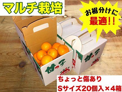 手さげ箱 ちょっと傷 マルチ栽培 有田 みかん S サイズ 20個入 × 4箱 南泰園 BS672