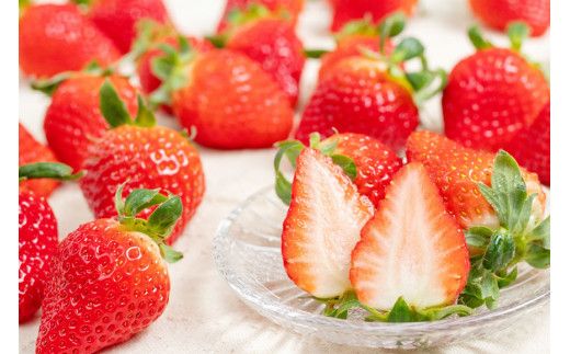 【期間限定発送】DF107 長崎県知事賞受賞【 大玉 いちご 】「 ゆめのか （3L～5L）」265g×4パック ＜12月までにお届け＞